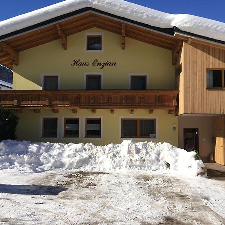 Appartement - Vollholz Studio Im Zentrum Von Flachau Exterior foto